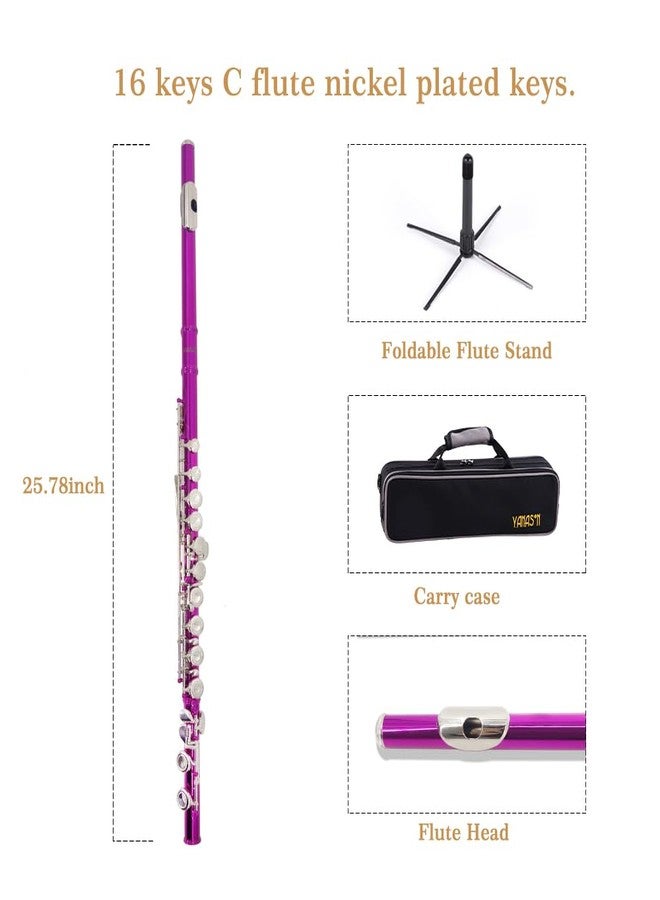 YANASON Pink C Flute Closed Hole 16 Keys Flute Nickel-Plated for Beginner, Student and Professionals with Carrying case, Metal stand, Gloves, Tuning Rod, Cleaning kit(Pink) - Image 2