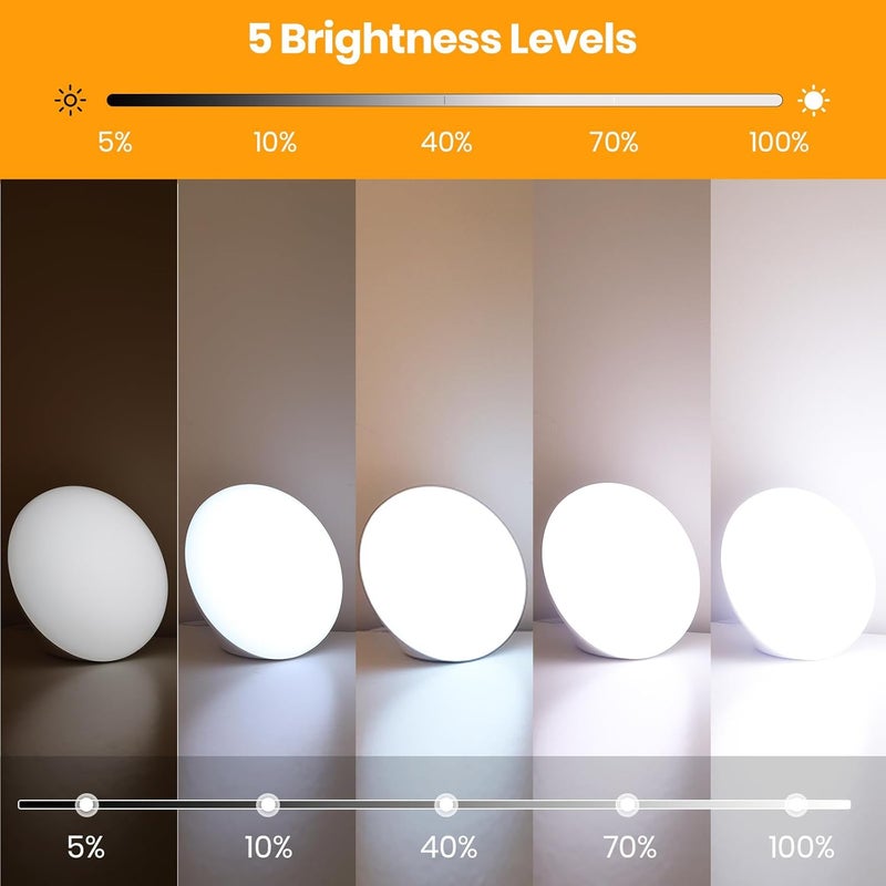 Lastar Sun Lamp, 10,000 Lux Sunlight Lamp with 4 Color Temperatures & 5 Brightness & 1H Timer, Touch Control Daylight Lamp with Memory Function for Home - Image 3