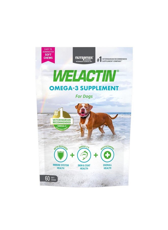 Nutramax Laboratories Nutramax Welactin Daily Omega-3 Supplement For Dogs, Skin & Coat Health Plus Overall Health, 60 Soft Chews  - Image 1