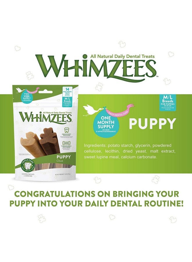 ويمزيس مجموعة Whimzees من 3 قطع من مكافآت الأسنان اليومية للجراء، 14 قطعة لكل قطعة، للجراء متوسطة إلى كبيرة الحجم - Image 3