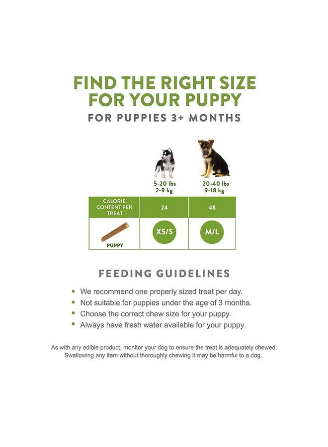 ويمزيس مجموعة Whimzees من 3 قطع من مكافآت الأسنان اليومية للجراء، 14 قطعة لكل قطعة، للجراء متوسطة إلى كبيرة الحجم - Image 4