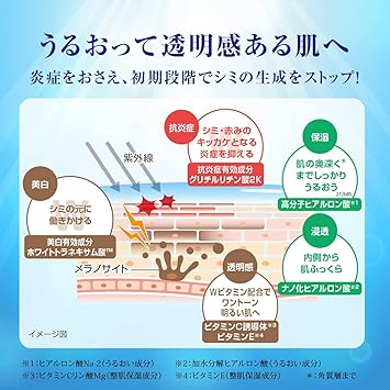 Rohto Rohto Hadalabo Shirojun Premium Medicated Penetration Whitening Lotion 170ml Refill - Image 3