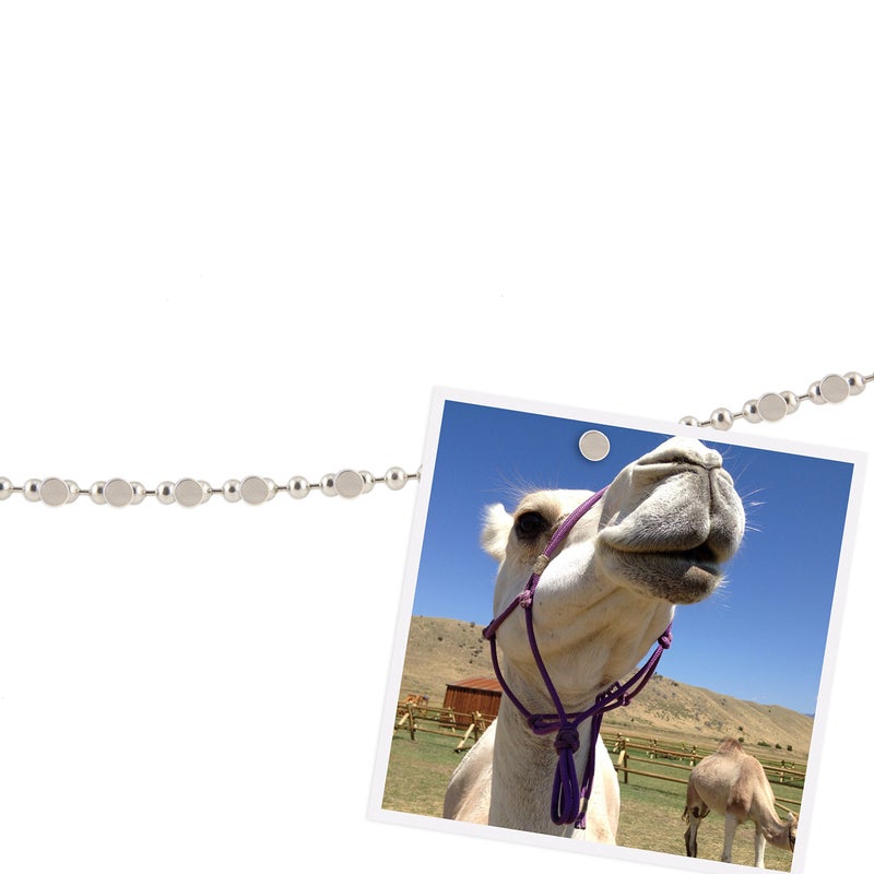 Three By Three Seattle Chained-Up Ball with Chain Photo Display  Silver (41108) - Image 2