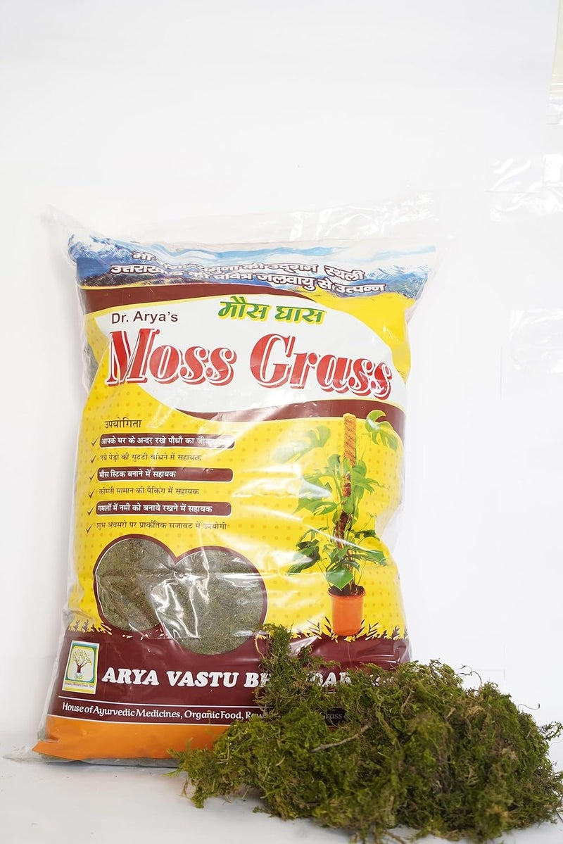 DR ARYA Natural Dried Moss Grass Preserved for Pots with The Nice Green Appearance for Home and Garden - 5 KG - Image 2