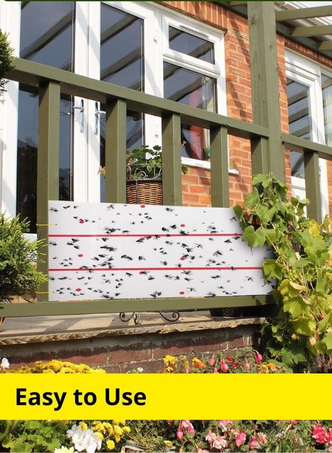 2 Pack Eco-Friendly Flying Insect Glue Trap – Sticky Fly Paper Strips with Hanging Hooks for Mosquitoes, Gnats & Fruit Flies | Safe, Non-Toxic Indoor and Outdoor Pest Control Solution for Home & Kitchen & Garden - Image 5