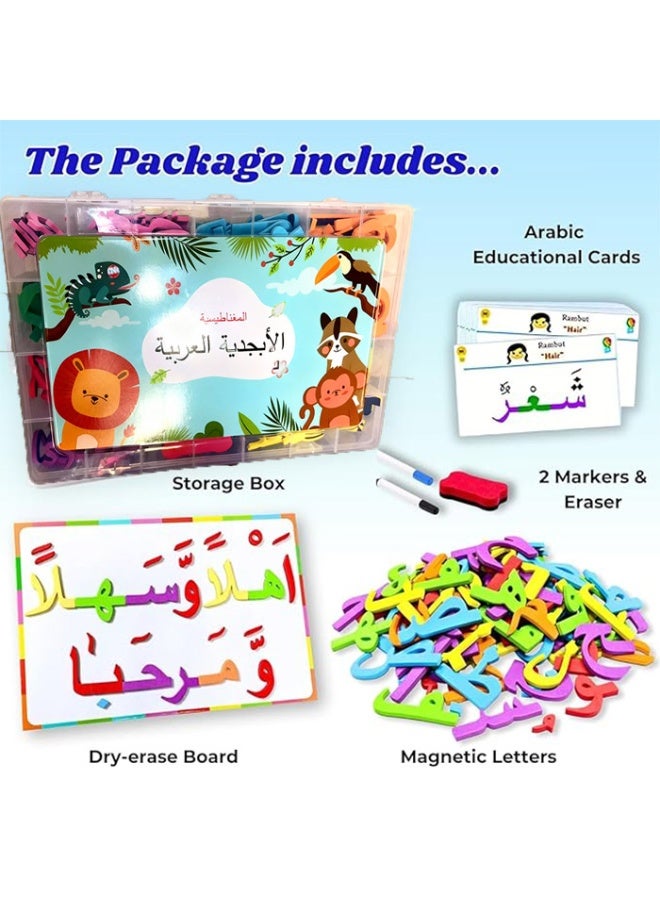 ألعاب HY Arabic Magnetic Alphabet Letters الحروف العربية الممغنطة ذات ألوان جميلة مع التشكيل والنقاط- يحتوي على لوحة مغناطيسية +بطاقات الكلمات+قلمين+ممحاة، 2 في 1 تعليم الحروف العربية و معرفة الألوان - Image 2