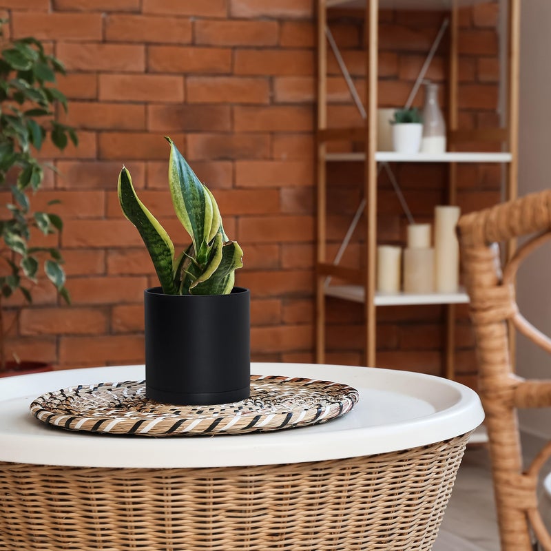 D'vine Dev 4 Pack 6 Inch Modern Plastic Plant Pots, Small Garden Planters for Plant with Drainage Holes and Saucers, Black Color, 74-Y-J-2 - Image 5