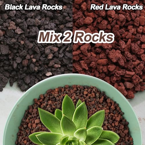 CJGQ 3lb Lava Rocks for Plants - Horticultural Volcanic Gravel for Drainage in Succulents, Bonsai, Terrariums and Landscaping - Image 2