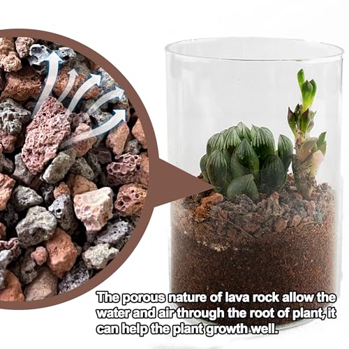 CJGQ 3lb Lava Rocks for Plants - Horticultural Volcanic Gravel for Drainage in Succulents, Bonsai, Terrariums and Landscaping - Image 5