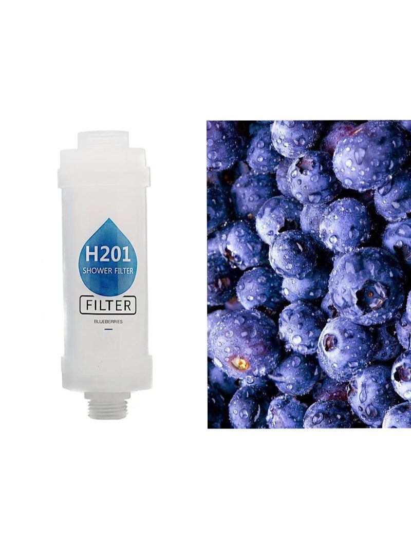 هومستر فلتر دش منقوع، رأس بفيتامين سي، منقي مياه عسرة، بالكلور والفلورايد، لتنقية المياه مع حبات، بشرة صحية، تركيب سهل (توت أزرق) - Image 3