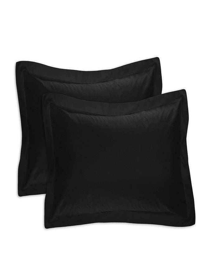 Bed Maker's Levinsohn Tailored 2-Pack Sham, Standard, Black (FRE24502BLAC07) - Image 1