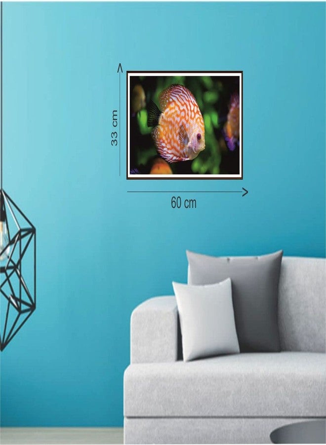 Jump up A Beautiful Fish - Image 3
