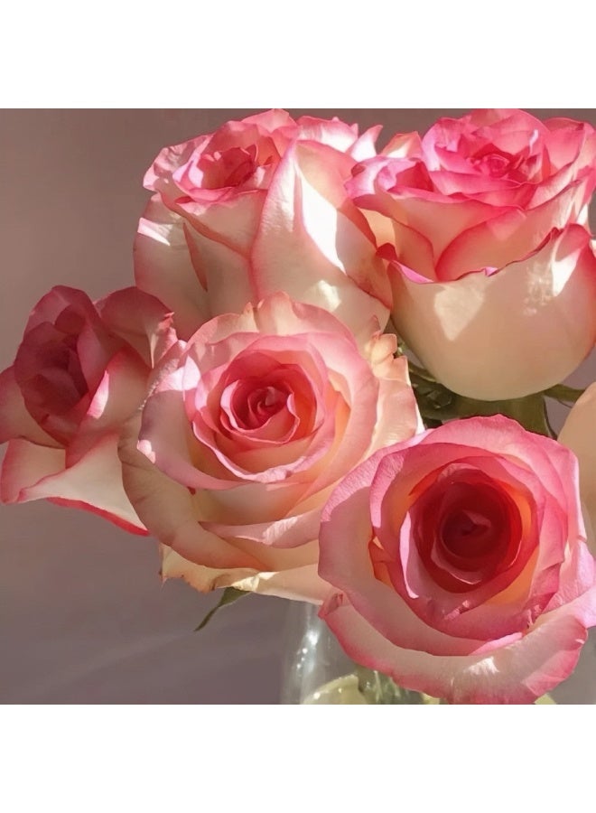 11 PCS Lifelike Pink-Edged Rose Artificial Flowers - Realistic Faux Rose Bouquet for Home Decor, Wedding, Birthday, Party & Photoshoot | Ideal Gift & Ornament for Living Room, Dining Room, Hotel - Image 5