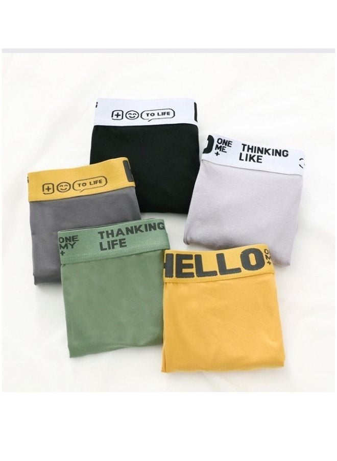 OUTAD - 4 Pcs Men's Trunks Boxer Breathable Shorts Cotton Briefs Fashion Sports Boxer XL - Image 1