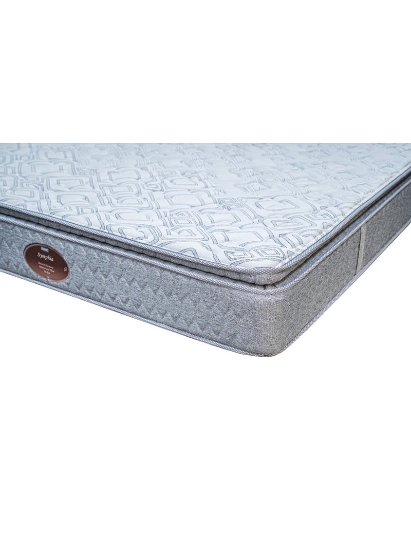 Seeron Symphia Pocket Spring Mattress – Plush Pillow Top Comfort with Reinforced Springs - Image 4