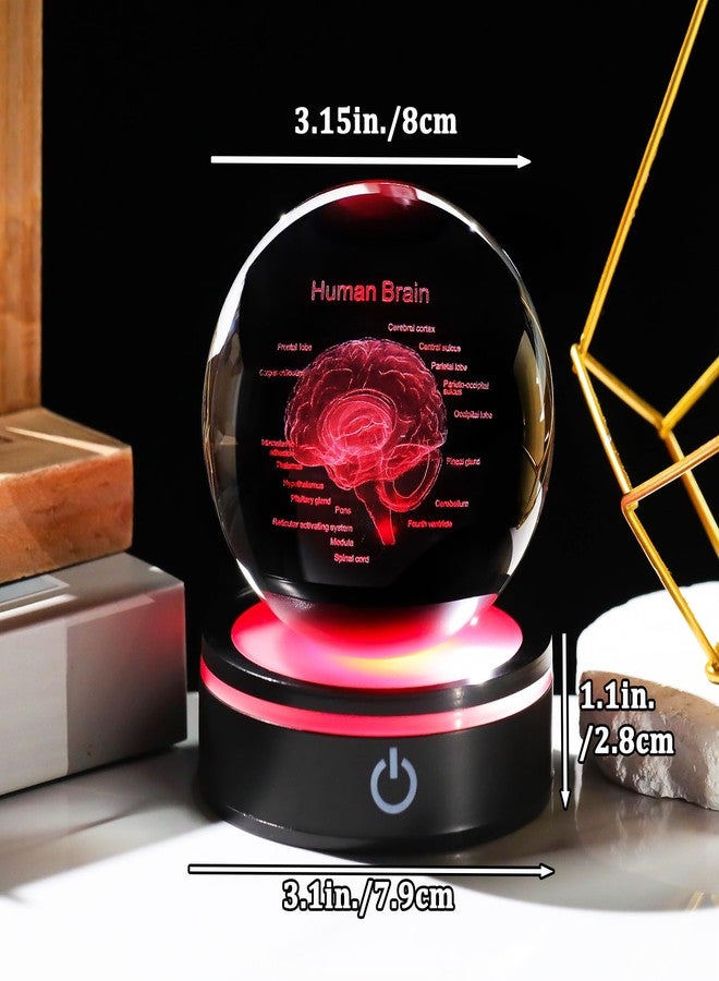 YWHL 3D Crystal Human Brain Crystal Ball with Colorful Light Base, Laser Anatomical Model Brain Gifts for Neurologists, Brain Surgery Gifts for Doctors, Doctor Graduation Gifts for Medical Students - Image 3
