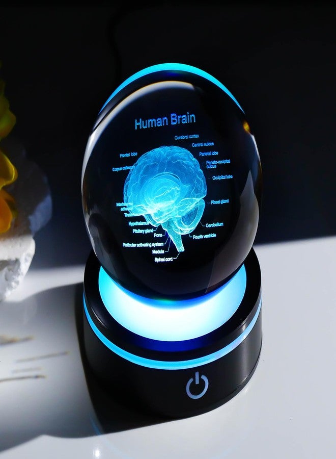 YWHL 3D Crystal Human Brain Crystal Ball with Colorful Light Base, Laser Anatomical Model Brain Gifts for Neurologists, Brain Surgery Gifts for Doctors, Doctor Graduation Gifts for Medical Students - Image 5