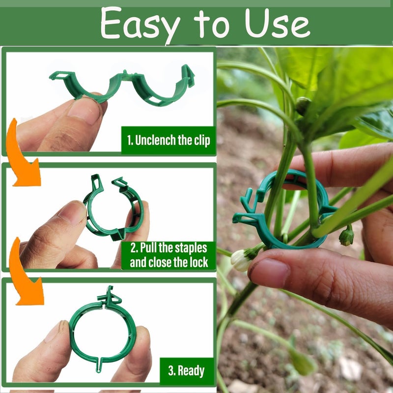 7Queen Plant Support Clips - Tomato Clips for String Trellis, 100pcs Grape Vine Clips for Garden Netting Climbing Plants, Secured Plastic Plant Clip for Fixing Stem and Vine (100, Green) - Image 4