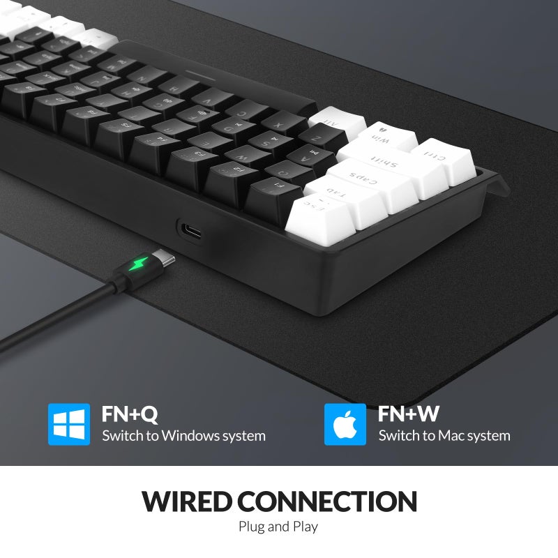 Rii RK806 60% Mechanical Gaming Keyboard,61 Keys Compact Wired Keyboard with Blue Backlight,Clicky Blue Switch,Anti-ghosting,for Windows Laptop PC Mac(Black&White) - Image 3