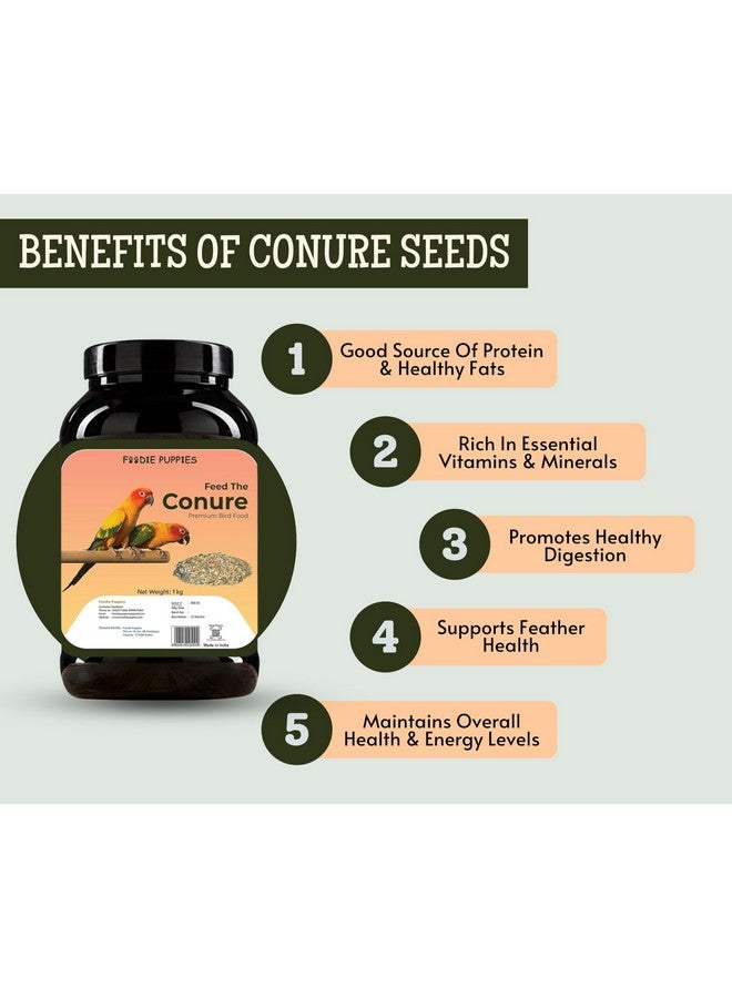 Conure Mix Seeds Bird Food - 1Kg | Mix Seeds For Parakeets, Parrots, Macaws, And Cockatoos | Fortified With Canary Seeds, Red Chillis, Peanuts, Yellow Proso, Sunflower & Safflower - Image 2