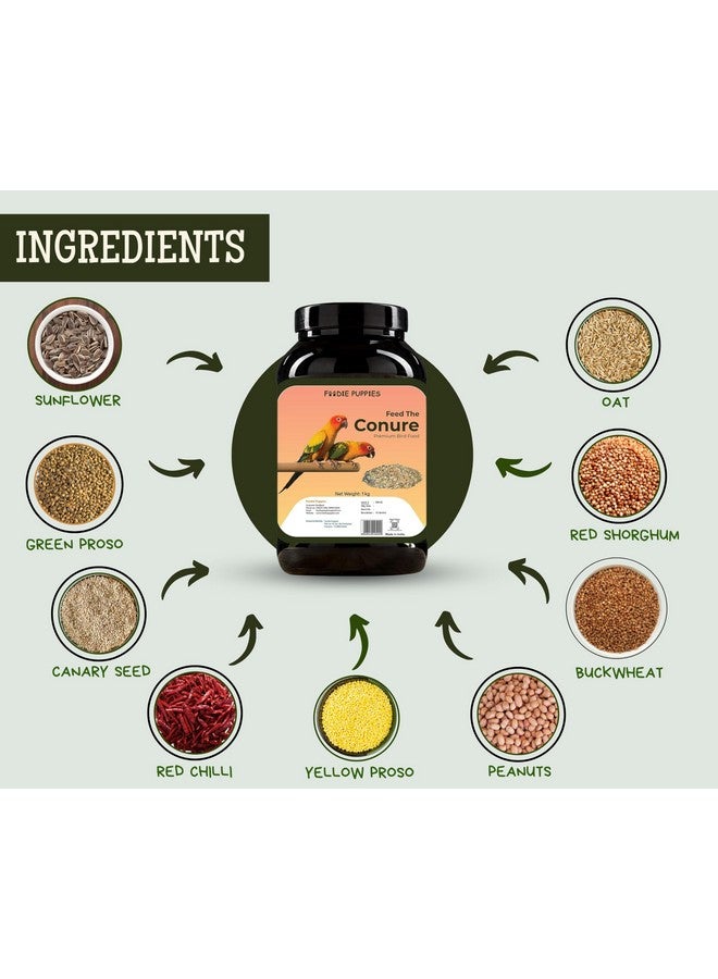 Conure Mix Seeds Bird Food - 1Kg | Mix Seeds For Parakeets, Parrots, Macaws, And Cockatoos | Fortified With Canary Seeds, Red Chillis, Peanuts, Yellow Proso, Sunflower & Safflower - Image 4