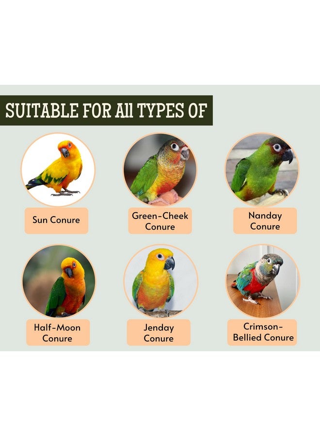 Conure Mix Seeds Bird Food - 1Kg | Mix Seeds For Parakeets, Parrots, Macaws, And Cockatoos | Fortified With Canary Seeds, Red Chillis, Peanuts, Yellow Proso, Sunflower & Safflower - Image 5