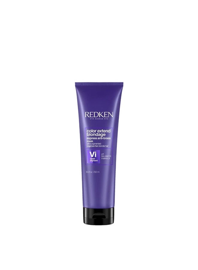 Redken Color Extend Blondage Express Mask 250ml - Image 1