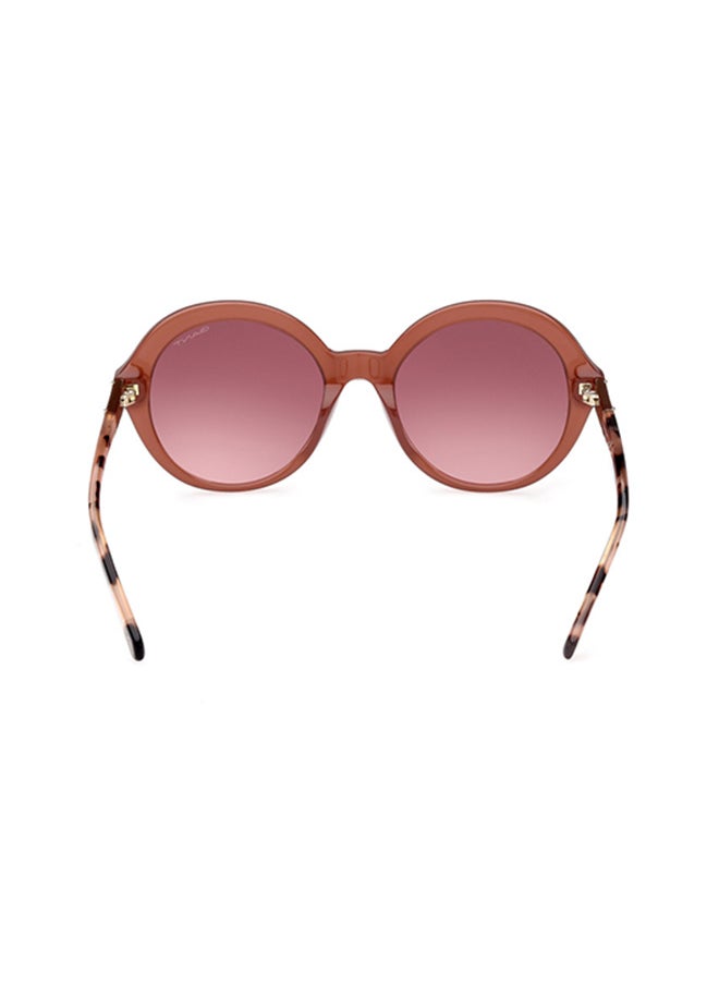 GANT Round Sunglasses For Women - Shiny Beige  - Image 5