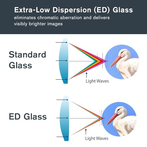 Celestron – Regal ED 8x42 Binoculars – Premium Optics for Birding, Hunting & Outdoor Use – Phase & Dielectric Coated BaK-4 Prisms – Fully Multi-Coated Glass – 4.9 ft Close Focus - Image 3