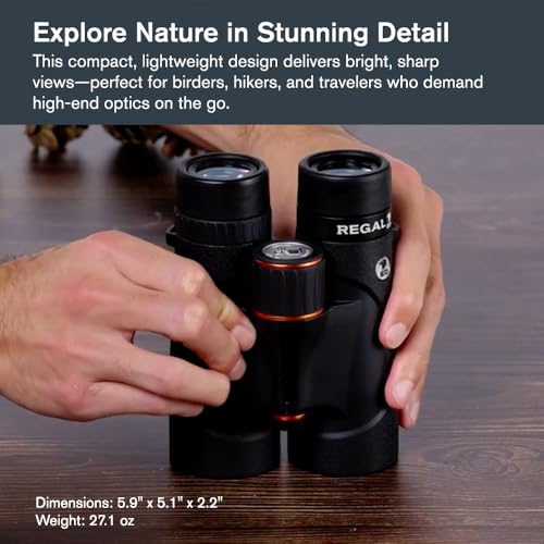 Celestron – Regal ED 8x42 Binoculars – Premium Optics for Birding, Hunting & Outdoor Use – Phase & Dielectric Coated BaK-4 Prisms – Fully Multi-Coated Glass – 4.9 ft Close Focus - Image 2