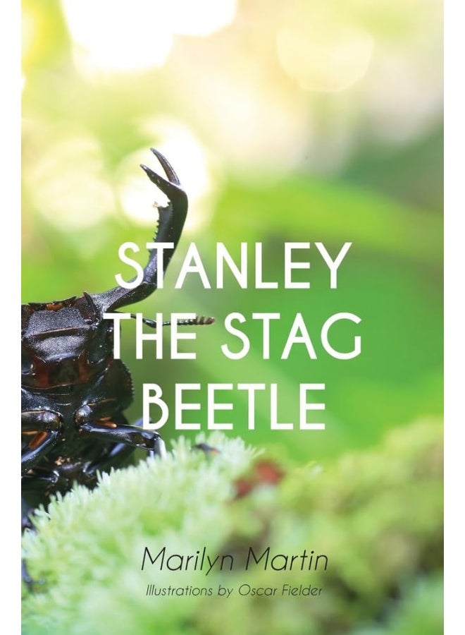 Stanley the Stag Beetle