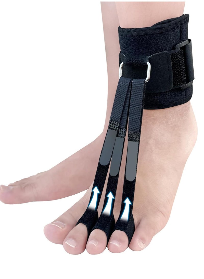 Foot Drop Brace with 3 Toe Sleeves, Hammer Toe Straightener, Hammertoe Corrector for Women u0026 Men, Hammer Toe Splint, Toe Straighteners for Curled Toes, Claw Toe, Crooked Toe, Mallet Toe - Image 1