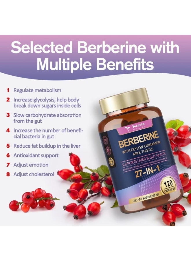 Totaria 27-in-1 Berberine Supplement with Milk Thistle 6000mg-Ceylon Cinnamon for Immune, Better Figure, Liver & Gut Health - 120 Caps - Image 5