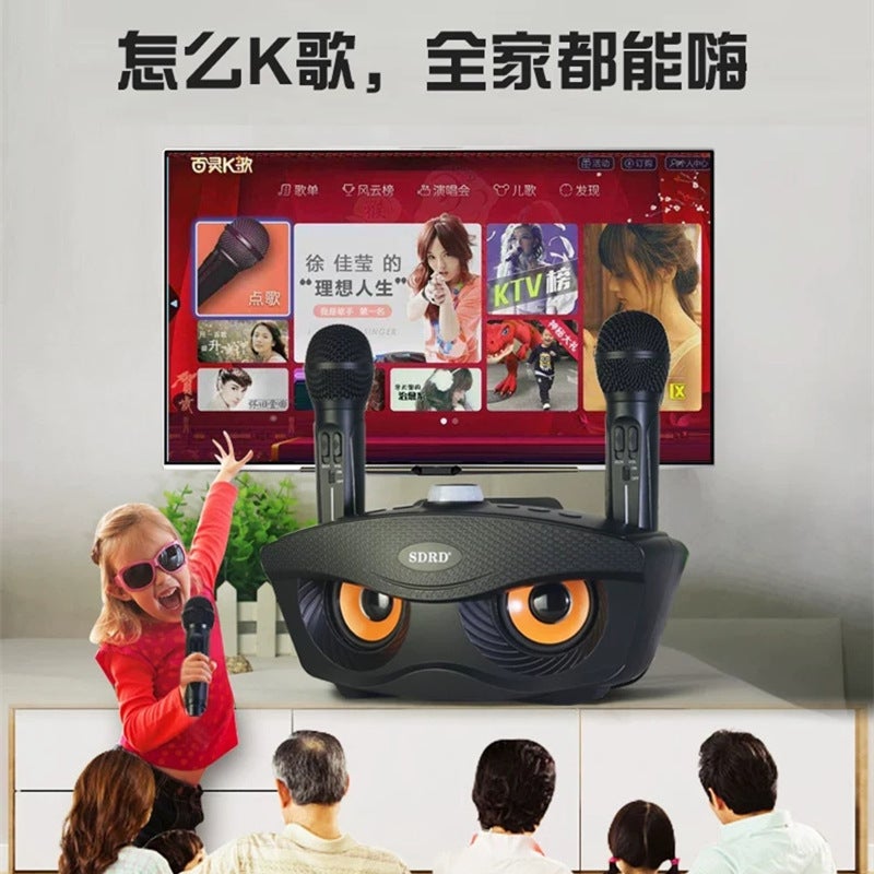Sd306 Family Ktv Audio Karaoke Mobile Phone Tv Song Training Machine Integrated Dual Microphone Owl Speaker - Image 3