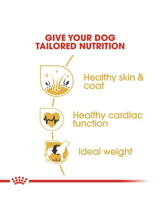 ROYAL CANIN طعام جاف للبالغين من رويال كانين لتغذية صحة السلالة جولدن ريتريفر 12 كجم - Image 3