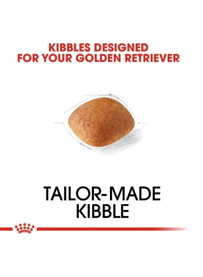 ROYAL CANIN طعام جاف للبالغين من رويال كانين لتغذية صحة السلالة جولدن ريتريفر 12 كجم - Image 4