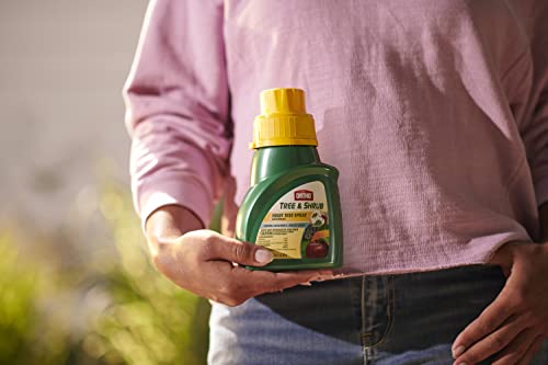 Ortho Tree & Shrub Fruit Tree Spray, 16-Ounce - Image 4