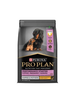 Pro Plan Puppy Performance Starter, 3 Kg Pack - pzsku/ZF4A54071F479ABCB7EAFZ/45/_/1735817644/0bde2c1b-42ce-4190-8d93-a1e94e9eb7ce