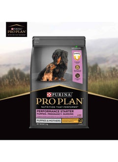 PURINA Pro Plan Puppy Performance Starter, 3 Kg Pack  - Image 5