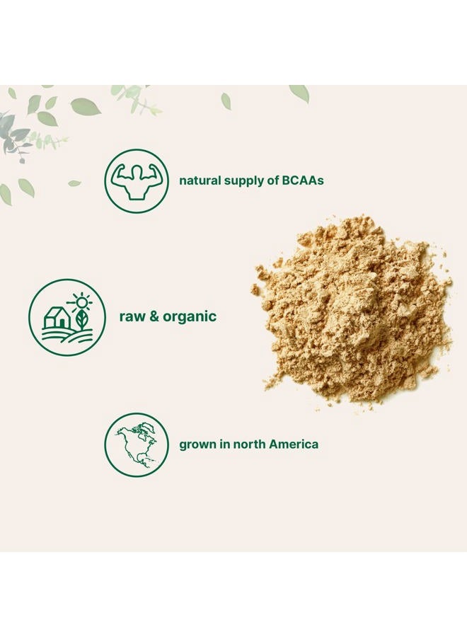 Micro Ingredients مسحوق بروتين البازلاء العضوي المزروع في أمريكا الشمالية، 1 كجم (2.2 رطل) | بروتين نباتي نباتي، مكمل بروتيني خالٍ من اللحوم، غني بالأحماض الأمينية المتفرعة السلسلة | خالٍ من الكائنات المعدلة وراثيًا وفول الصويا - Image 3