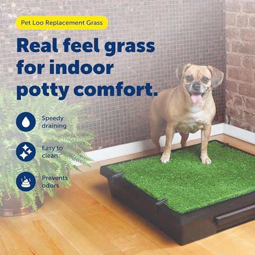 PetSafe Pet Loo Replacement Grass - Feels & Looks Like Real Grass - Drains Urine Quickly - Easy to Clean - Indoor Dog Potty Pad - Medium - Image 2