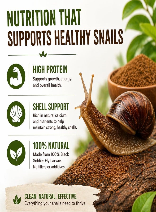 Snail Food Powder – BSFL Protein Sprinkle Feeding Powder for Land Snails & Small Invertebrates | Supports Shell Growth & Natural Grazing | 100% Black Soldier Fly Larvae - Image 3