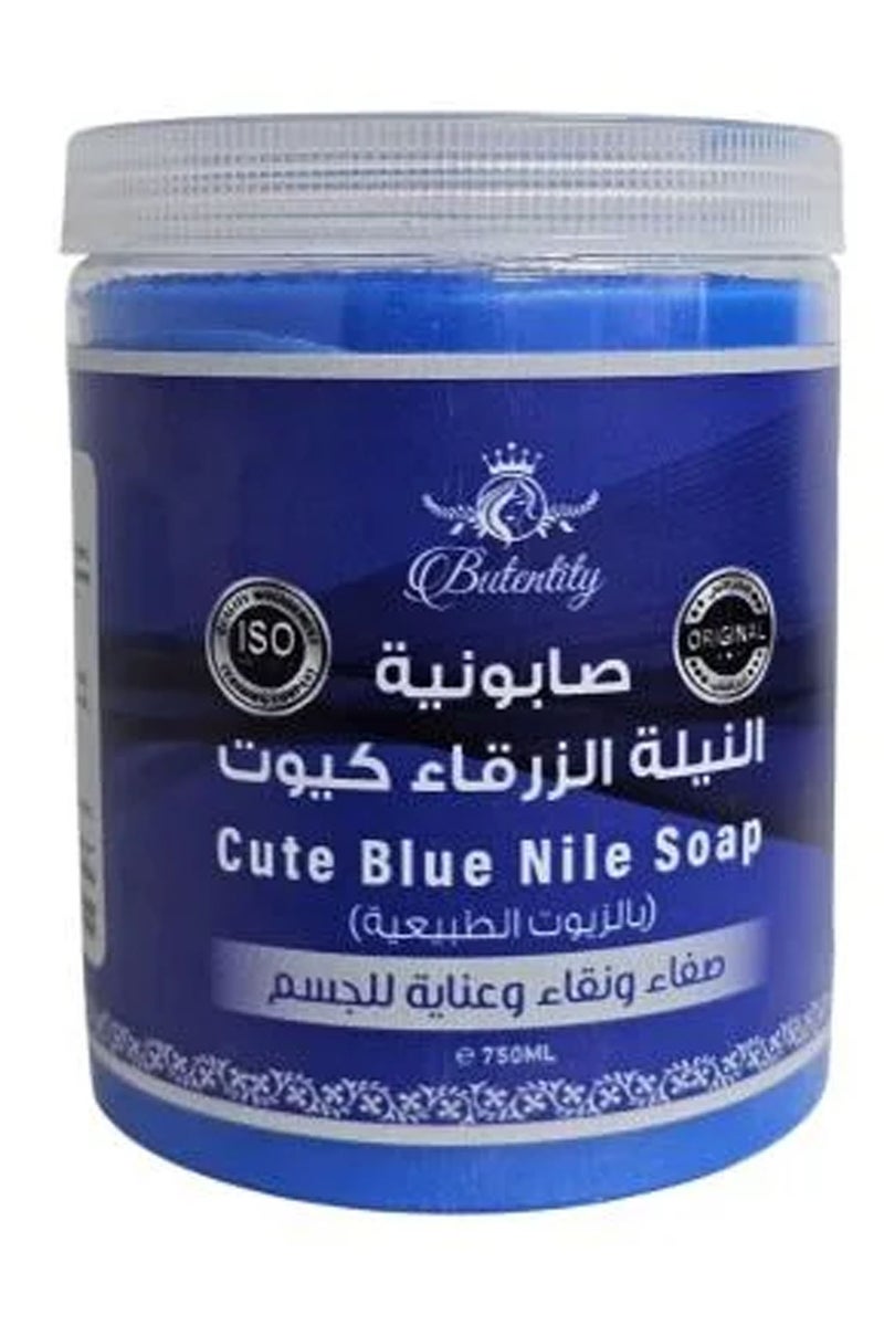 Butentity Soaponet Nile 750grams - Image 1