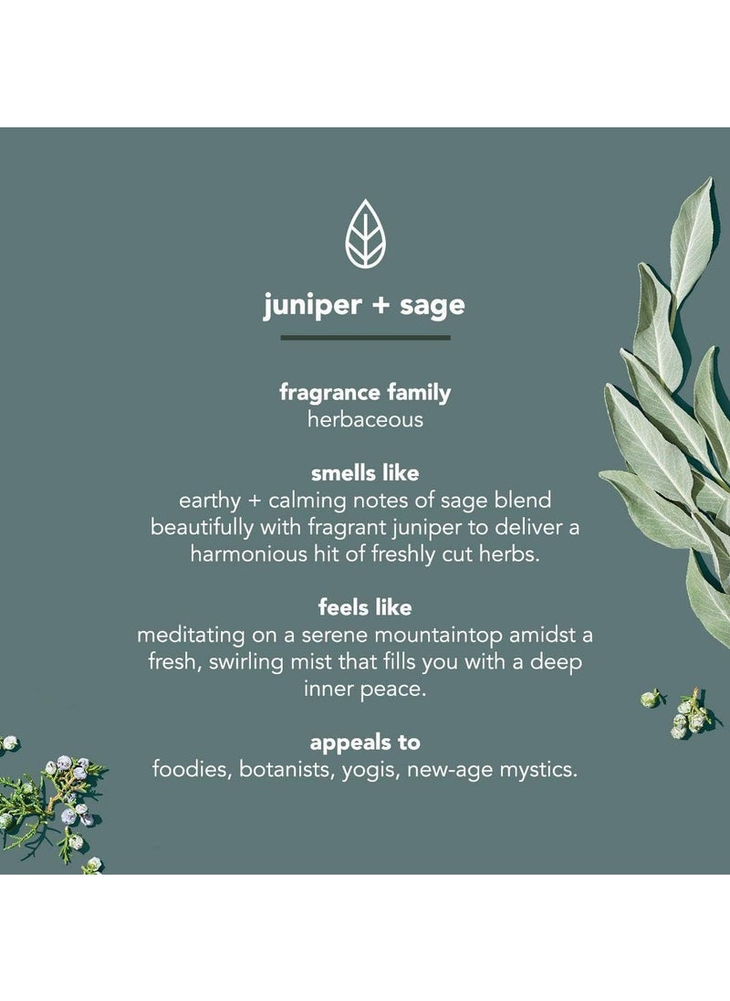 Juniper & Sage Body Wash, 18oz - pzsku/ZF4AB005ABE7B228B0458Z/45/_/1704300521/a5c92b25-e5ba-4680-aed2-972304a73357