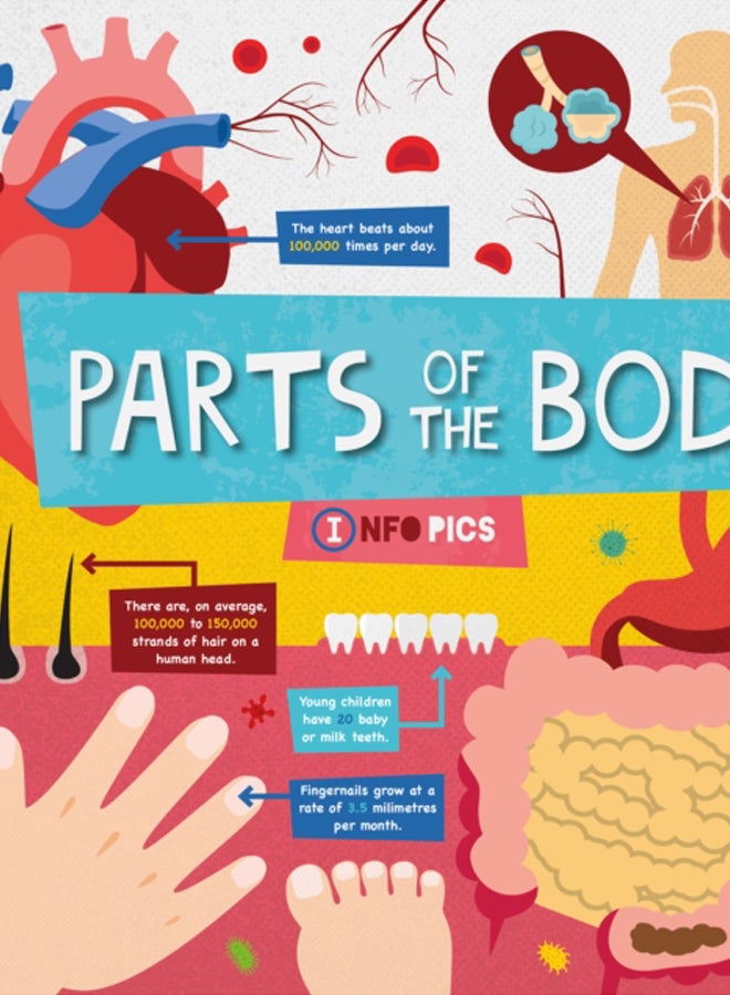 Parts of the Body