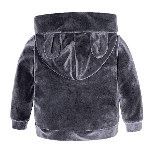 MYGBCPJS Boys Girls Cute 3D Ear Outfits Set Kids Hooded Fleece Pullover + Pants Gray - Image 2