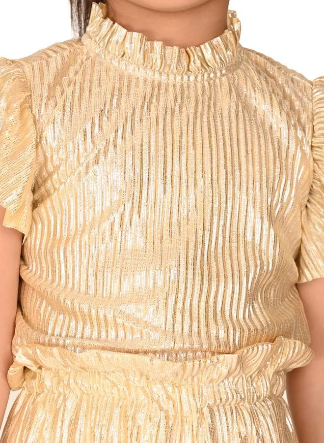 LILPICKS Solid Silver Shiny Sleeveless Top Palazzo Set