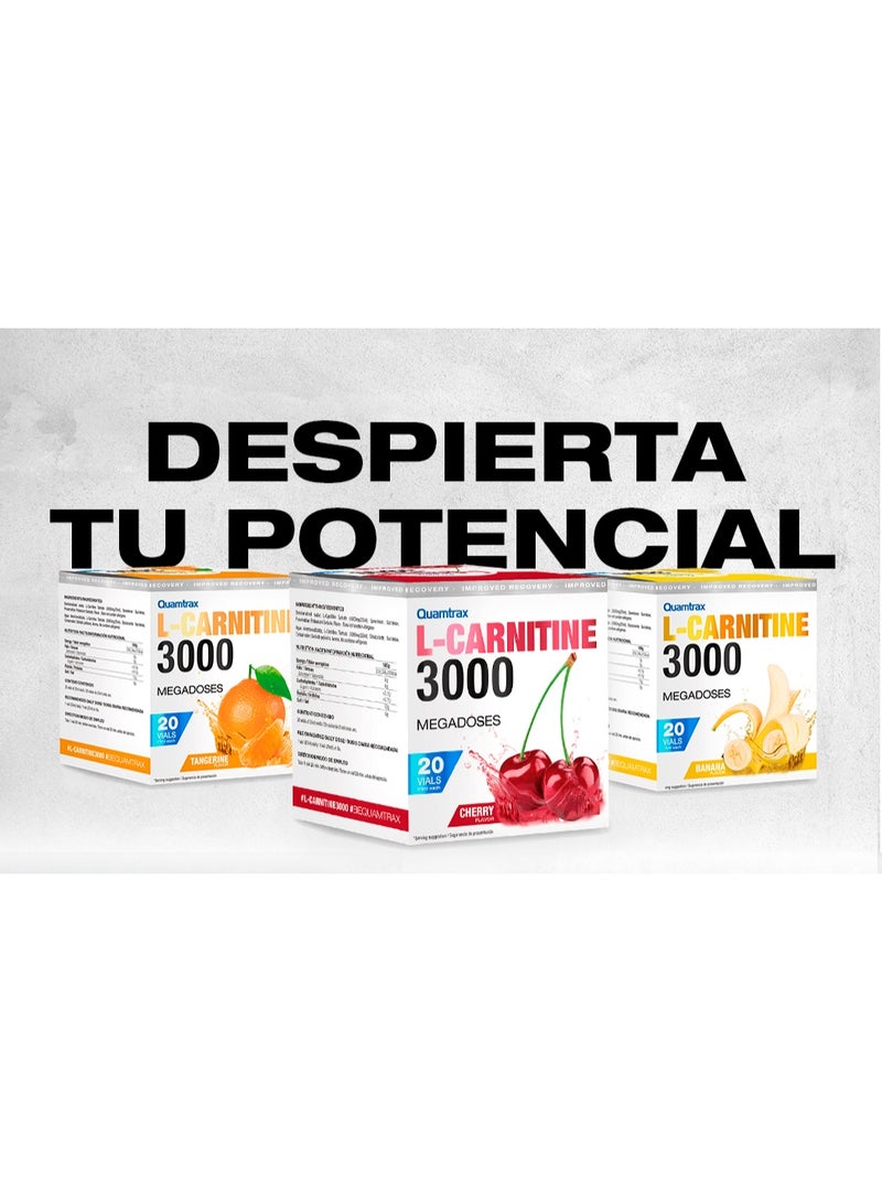 l carnitine 3000 quamtrax Quamtrax Nutrition - L-Carnitine 3000 (L-Carnitina 3000) - 20 viales -  Sabor Cereza