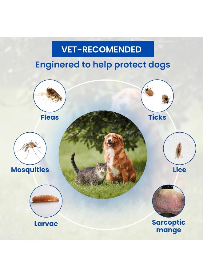 Para Medfly Parashield Spray (100ML) for Ticks and Fleas | Fast Acting, Long Lasting - Effective Spray for Dogs and Cats| Powered by Fipronil for Strong - Image 3