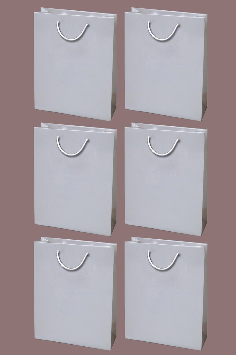 LOWHAT Pack Of 6 Laminated Paper Gift Bags 18x23x10 CM